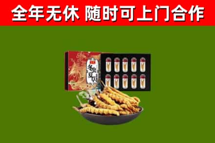 碾子山区回收冬虫夏草价格