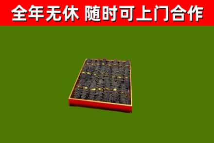 碾子山区回收海参